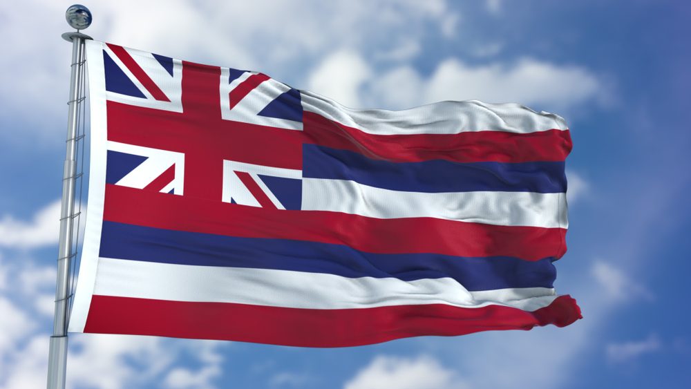 Hawaii Waving Flag