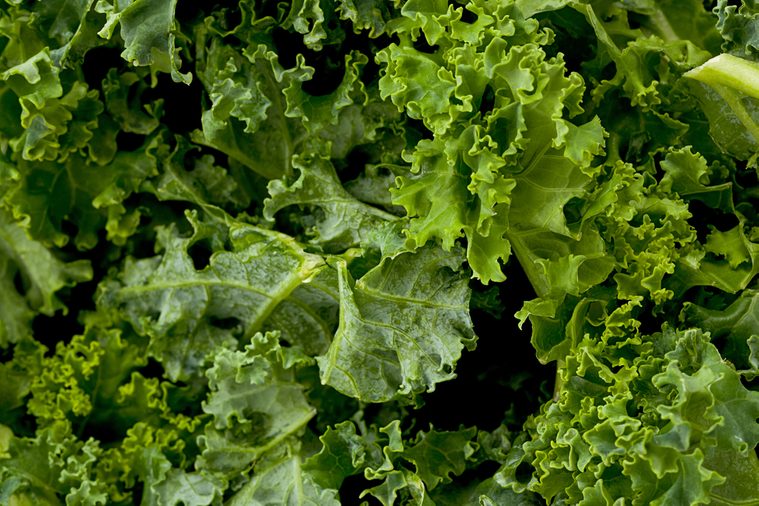 Background texture of kale greens.