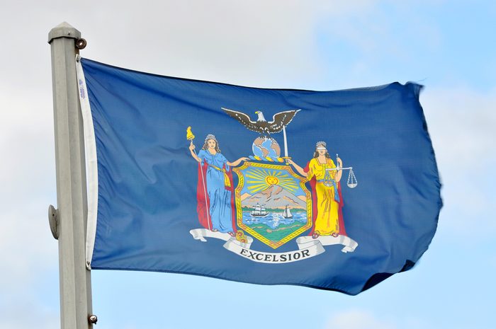 Mavi gökyüzü arka planda New York Eyaleti bayrağı