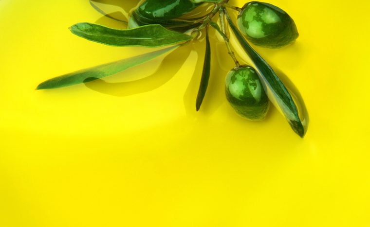 Green olive branch with olives in olive oil.