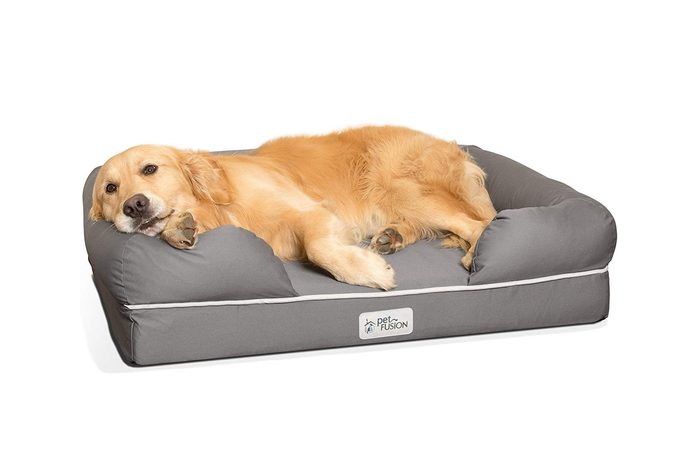 PetFusion Large Dog Bed w/Solid 4" Memory Foam, Waterproof liner, YKK premium zippers. [Multiple Sizes, Colors]. Breathable cotton blend, removable & easy...