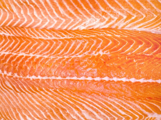 raw fish salmon fillet close-up
