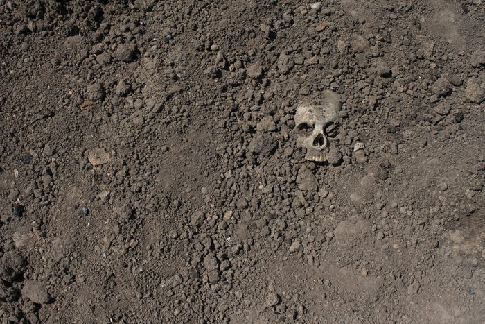Skull in the ground