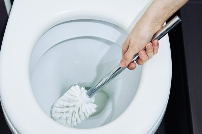 clean toilet brush