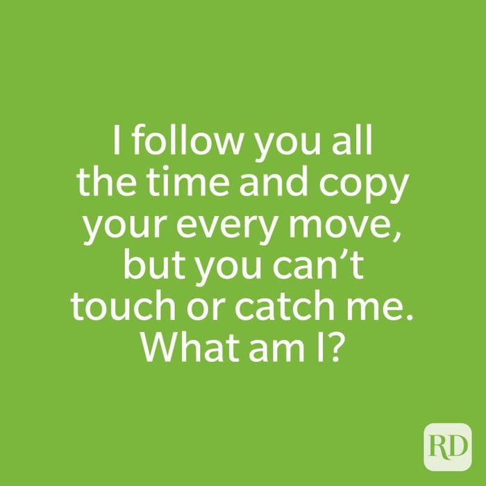 I follow you all the time and copy your every move, but you can’t touch or catch me. What am I?