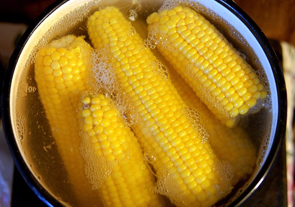Boiling cobs of fresh sweet corn