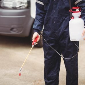 Handyman with insecticide standing in front of his van