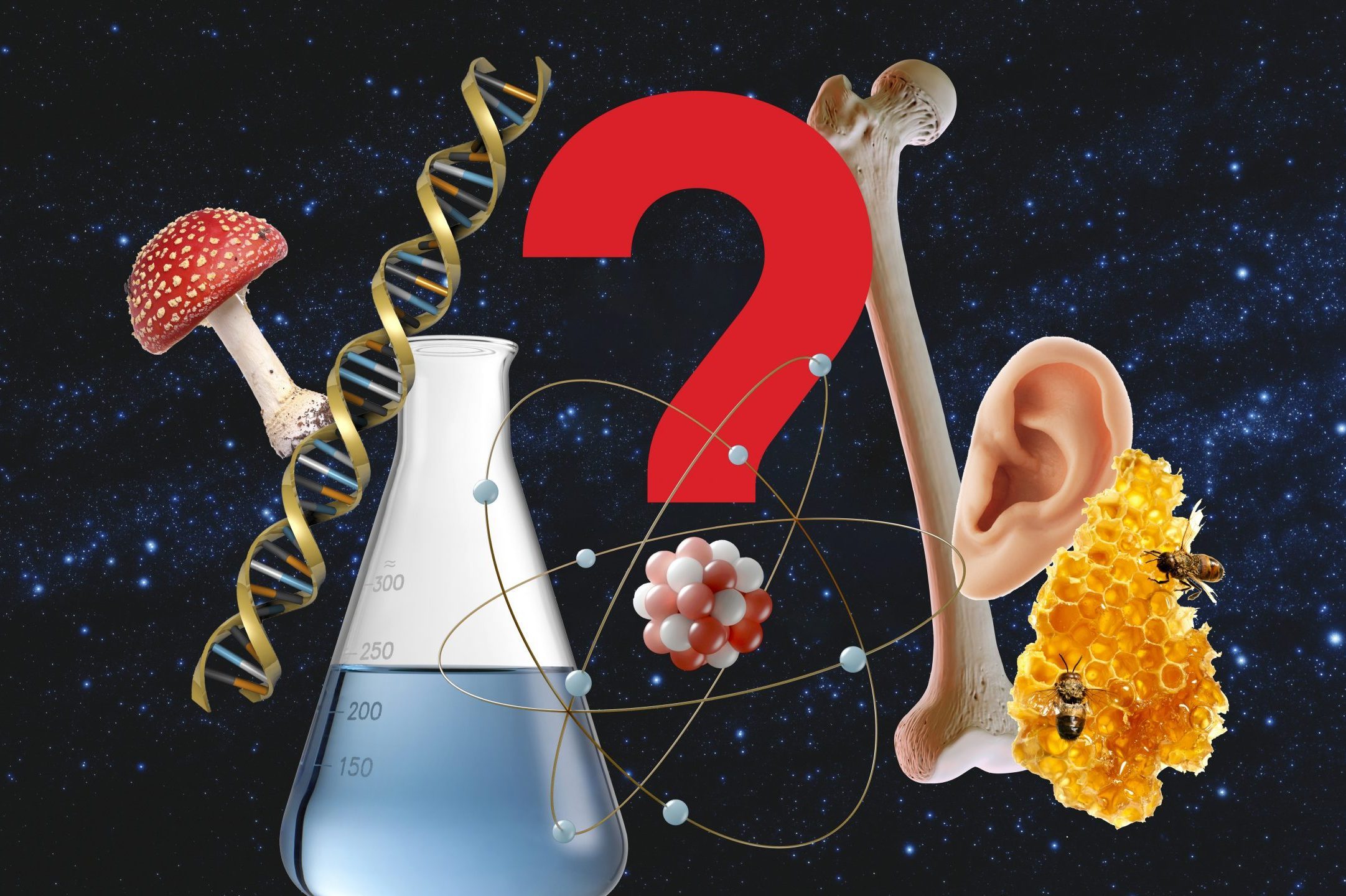 50 Science Trivia Questions People Always Get Wrong (With Answers)