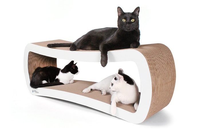 cat scratcher cat bed