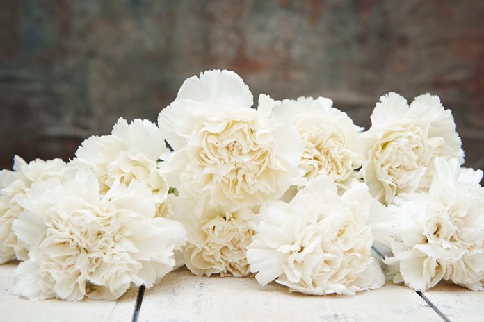 white Carnations for mothers day