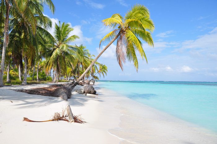 The most beautiful lonely beach in caribbean San Blas island, Panama. Turquoise tropical Sea, Palm Tree, Central America.