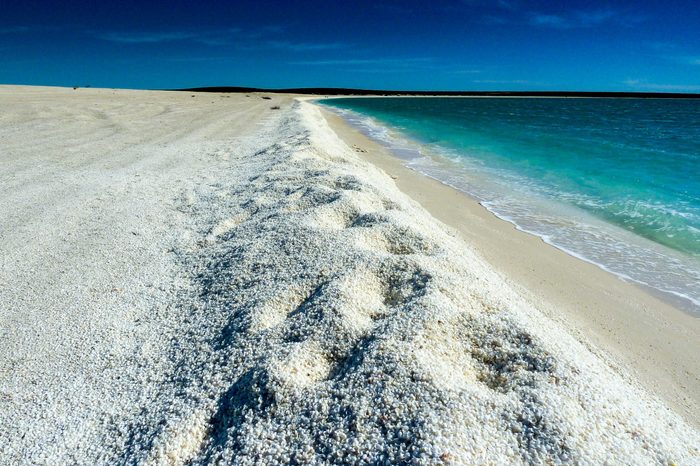 Shell Beach in Western Australia