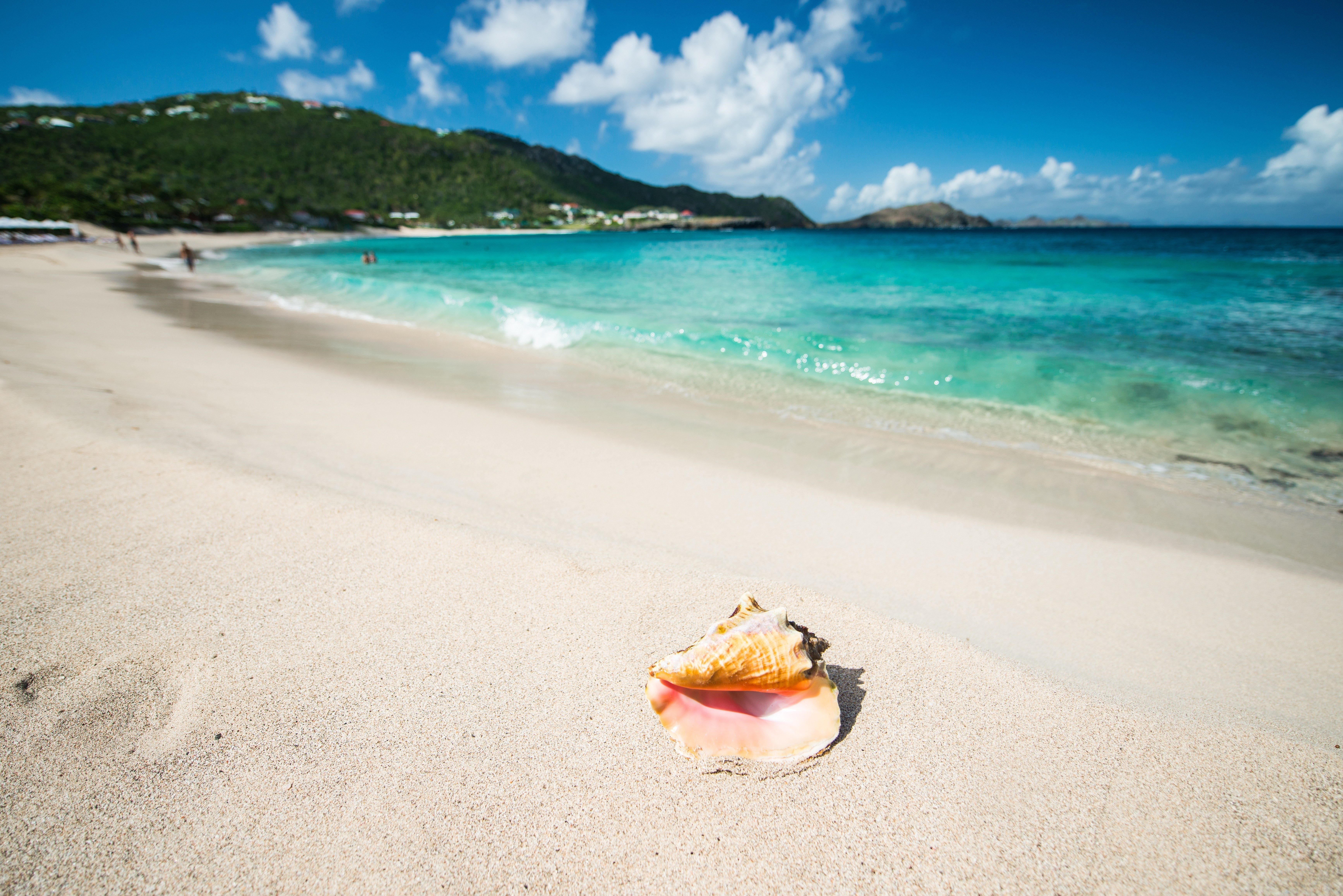 Beaches With The Best Seashells In The World Readers Digest