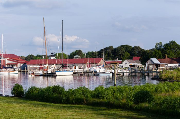 Yachts and boats in harbour of St Michaels on Chesapeake bay with heron