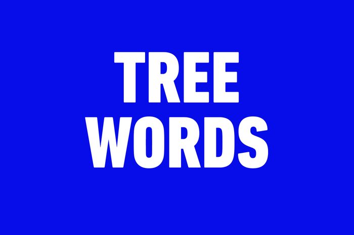 tree words