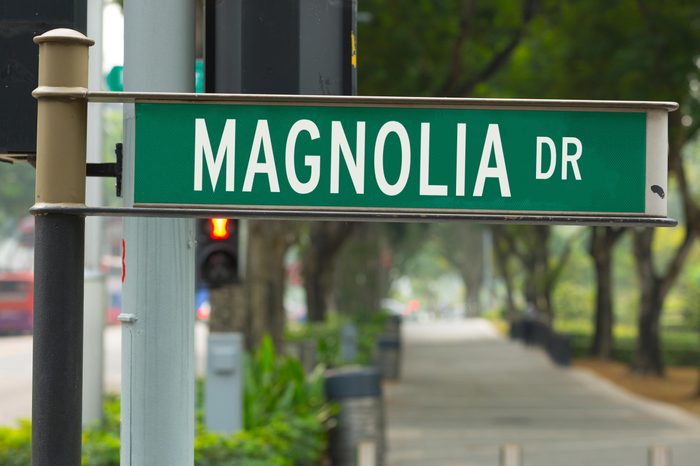 magnolia drive