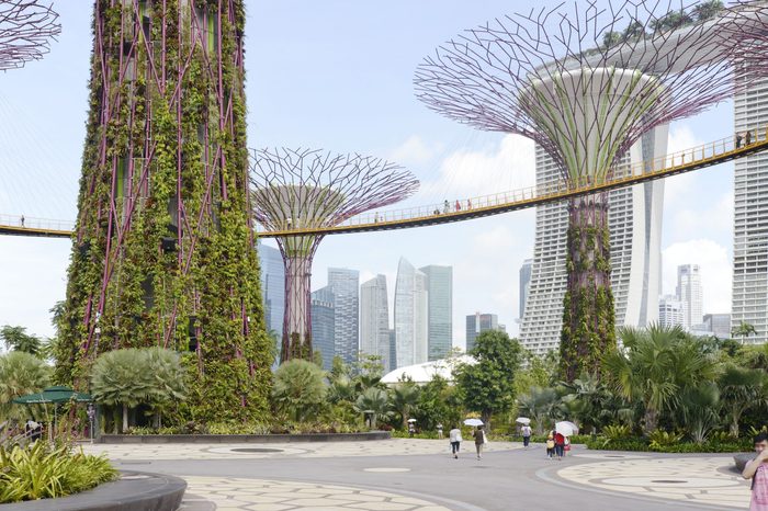 Gardens by the Bay, Singapore, Singapore. Architect: Grant Associates, 2012.