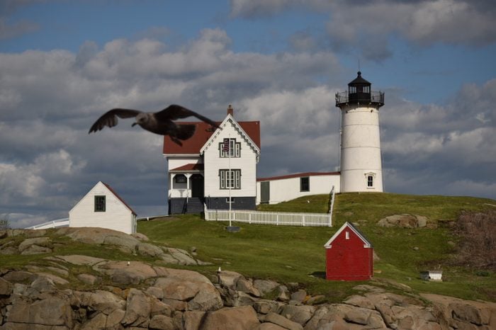 Cape Neddick Lighthouse in Cape Neddick; Maine