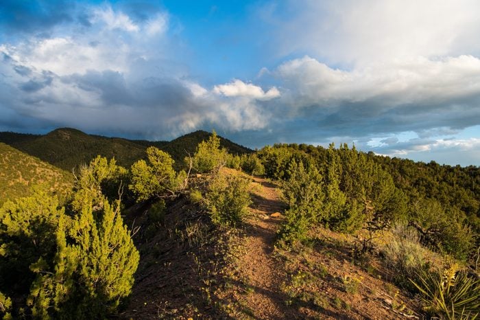 Dramatic light at dusk on a hiking trail through juniper and high hills under a beautiful sky of with storm clouds - Sangre de Cristo Mountains near Santa Fe, New Mexico