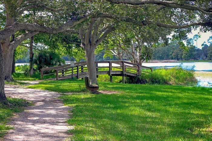walk path along the shore of Lake Taylor and under the shade of the forest trees, in Pinellas County, West Florida, USA