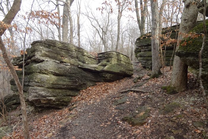Hiking Trail Passing through Exposed Limestone Bedrock in January near Kansas City, Missouri
