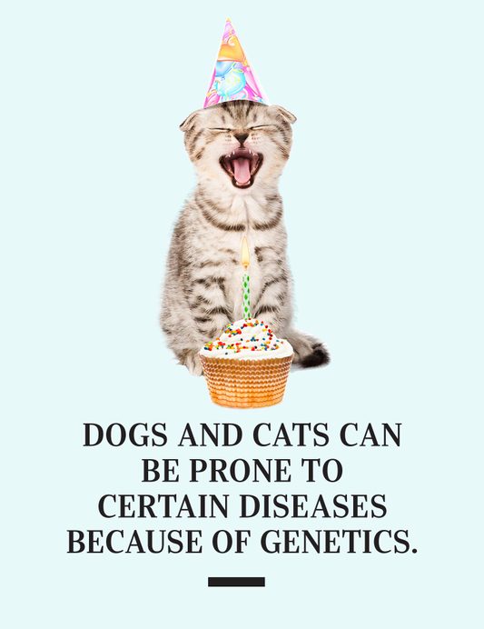Dogs and cats can be prone to certain diseases because of genetics.