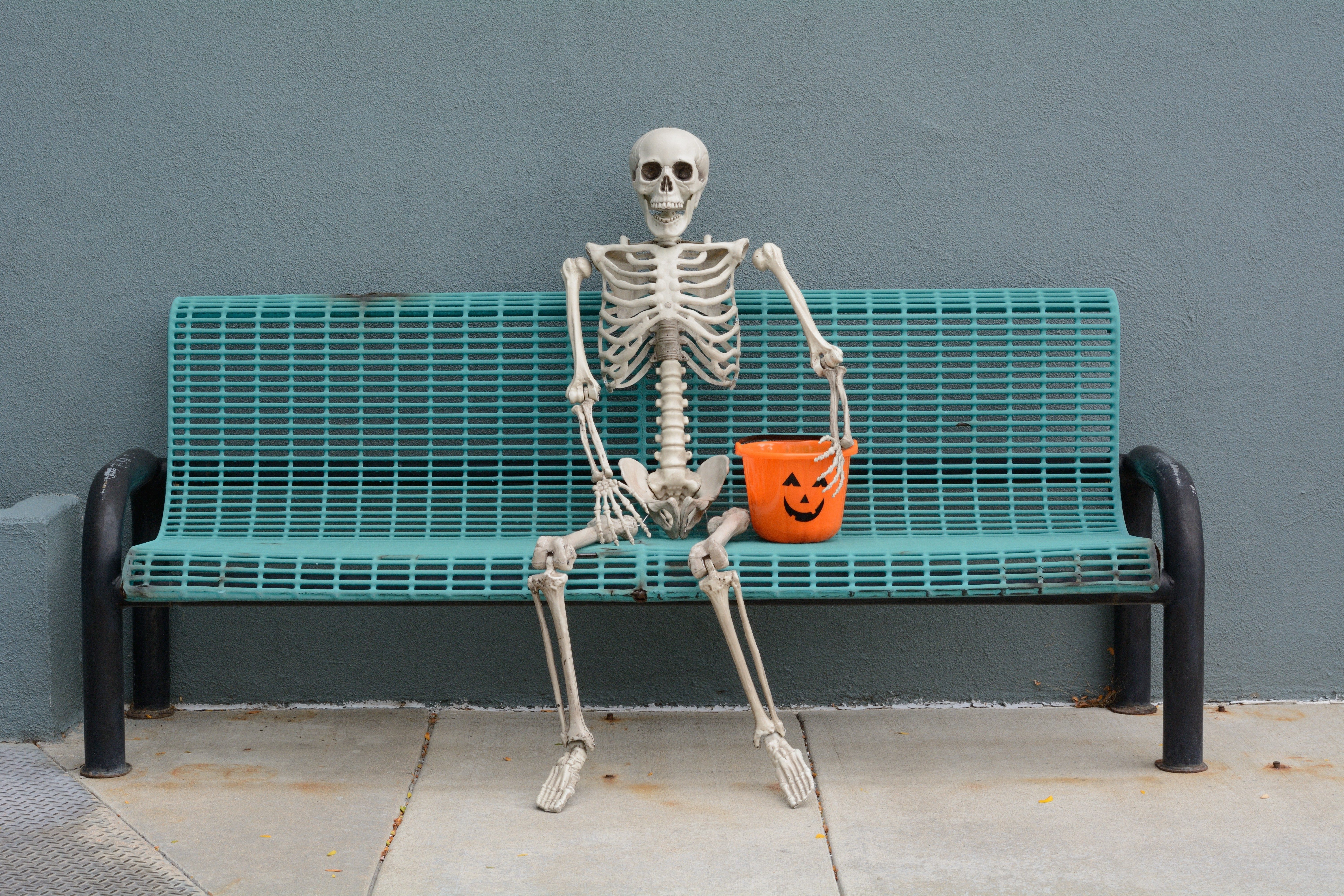 Halloween Skeleton sitting on bench with jack o'lantern trick or treat bucket
