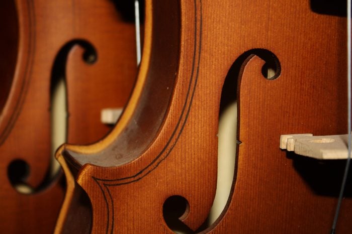 violin, holes in violins