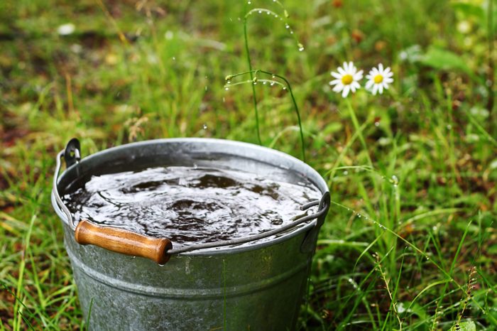 Bucket with rain water outdoors