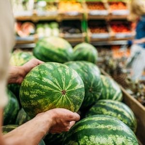 partial view of woman picking watermelon in grocery shop