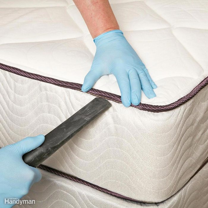 FH16JAU_BEDBUG_09-1 vacuum clean mattress disinfect bed