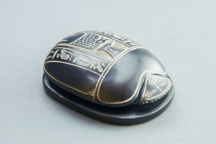 Beetle Scarab Out Of Egypt On A Gray Background.