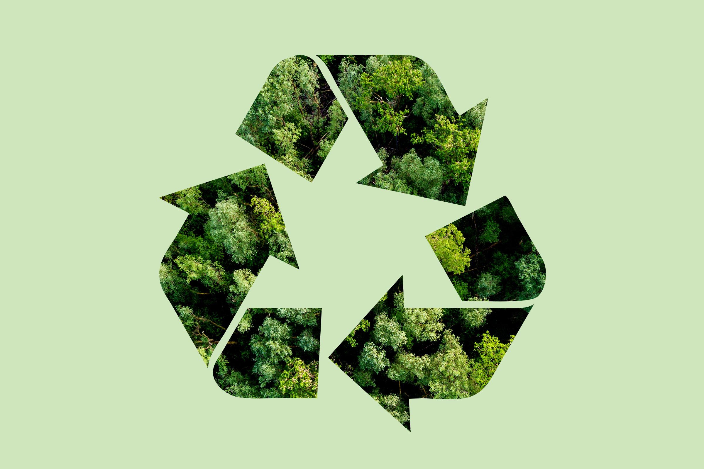 green trees n a recycle symbol on a green background
