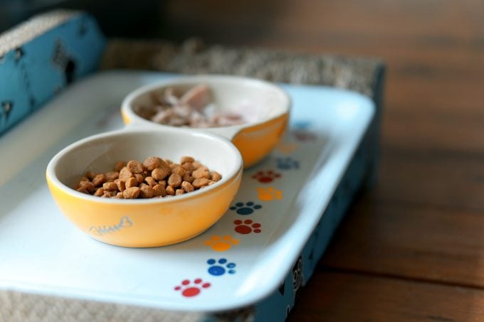 Two dishes of pet food on a white tray 