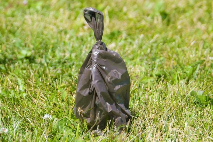 Brown dog poop bag resting on grass