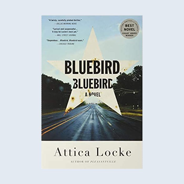 Bluebird Book Cover