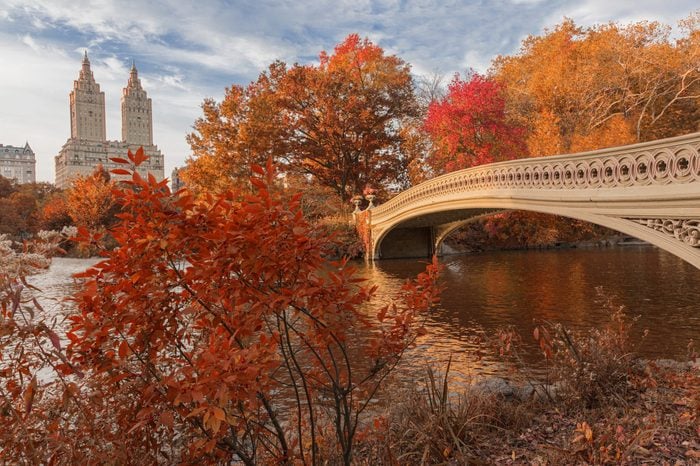 Bow Bridge in central park during Autumn