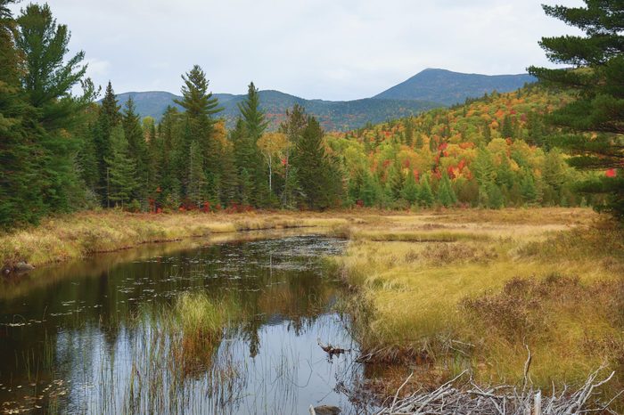 Fall colors on the shoreline of Stratton Brook Pond in the great north woods of Carrabassett Valley, Maine.