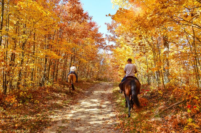 Gorgeous autumn fall day. Horseback riding through lush golden foliage. Horizontal landscape with people.
