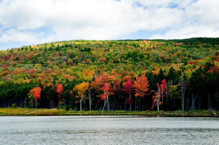 Trees are changing colors along Shaver's Lake in West Virginia.