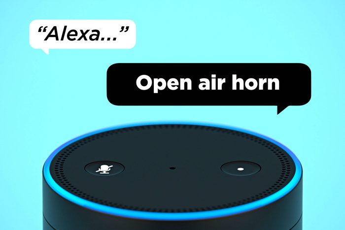 Alexa Open Air Horn