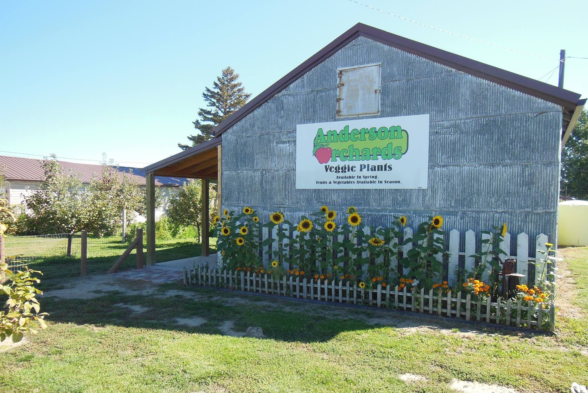 Anderson Orchards