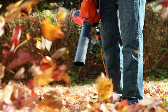 Man working with leaf blower: the leaves are being swirled up and down on a sunny day