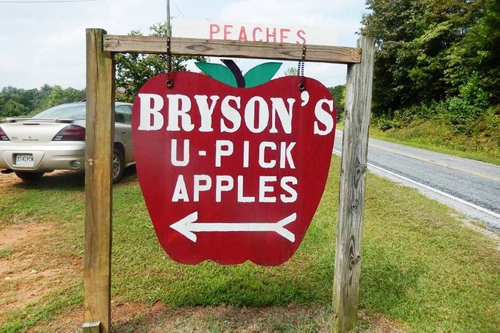 Bryson's Apple Orchard, Mountain Rest, South Carolina