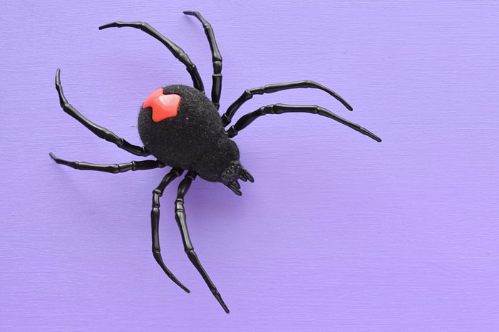 Minimalist purple background with fake spider in the corner, free space for text.