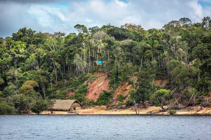 A deforestation area in the edge of the Amazon River with a traditional indigenous house in Amazon state in Brazil