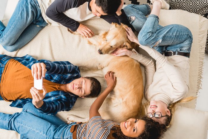 overhead view of multicultural teens lying on bed and taking selfie with dog