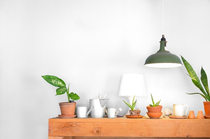 Table lamp and a small plant pot on wood cabinet