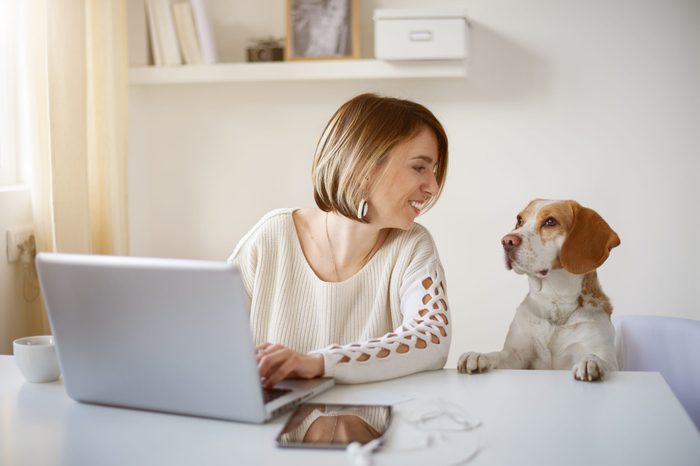 Freelancer using laptop for working, dog next to her
