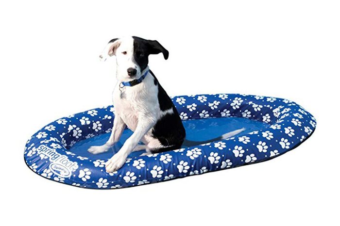 13_Provide-a-pool-float-for-Fido